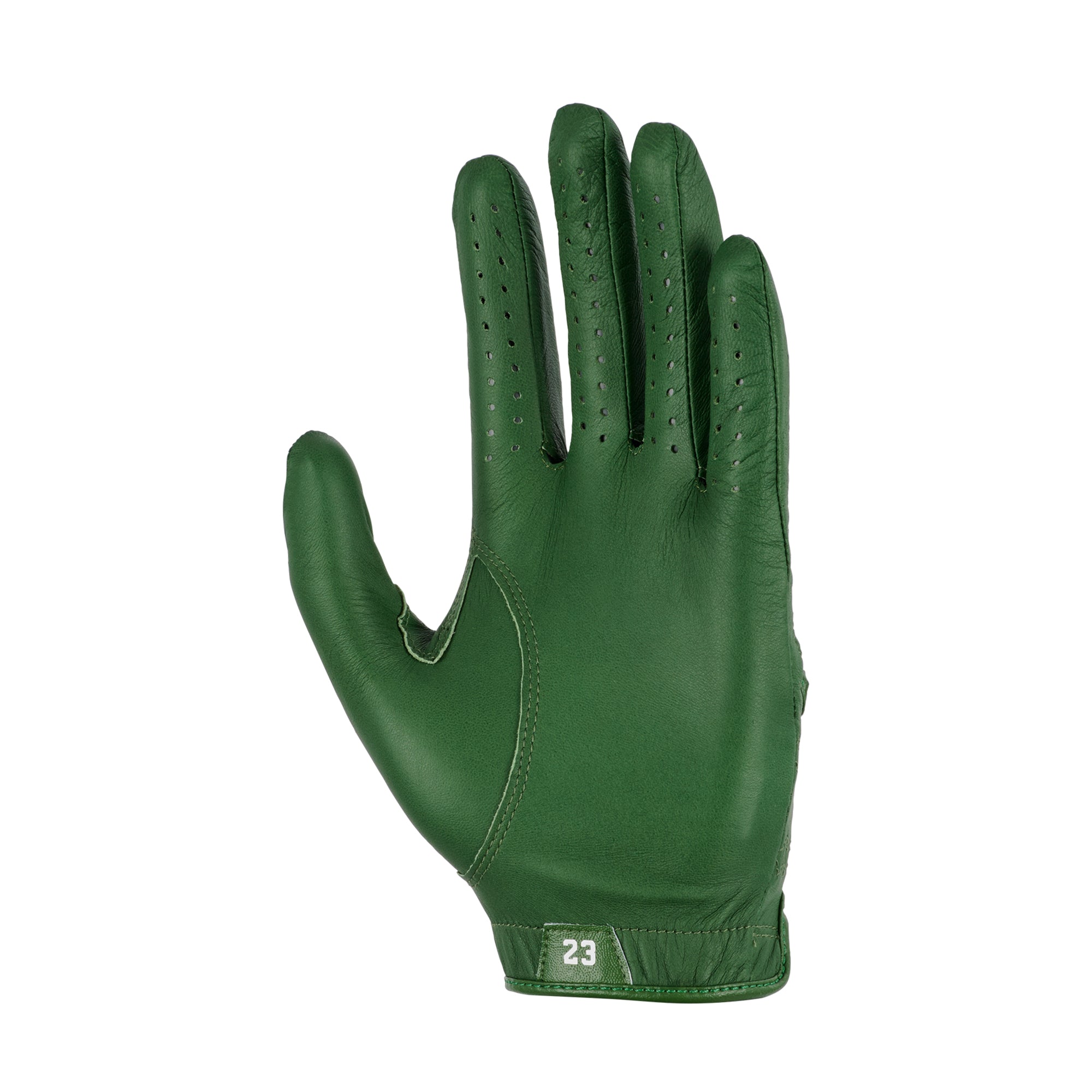 Nike Jordan Tour Golf Glove MLH - Forest Green/White 332 - FN0534