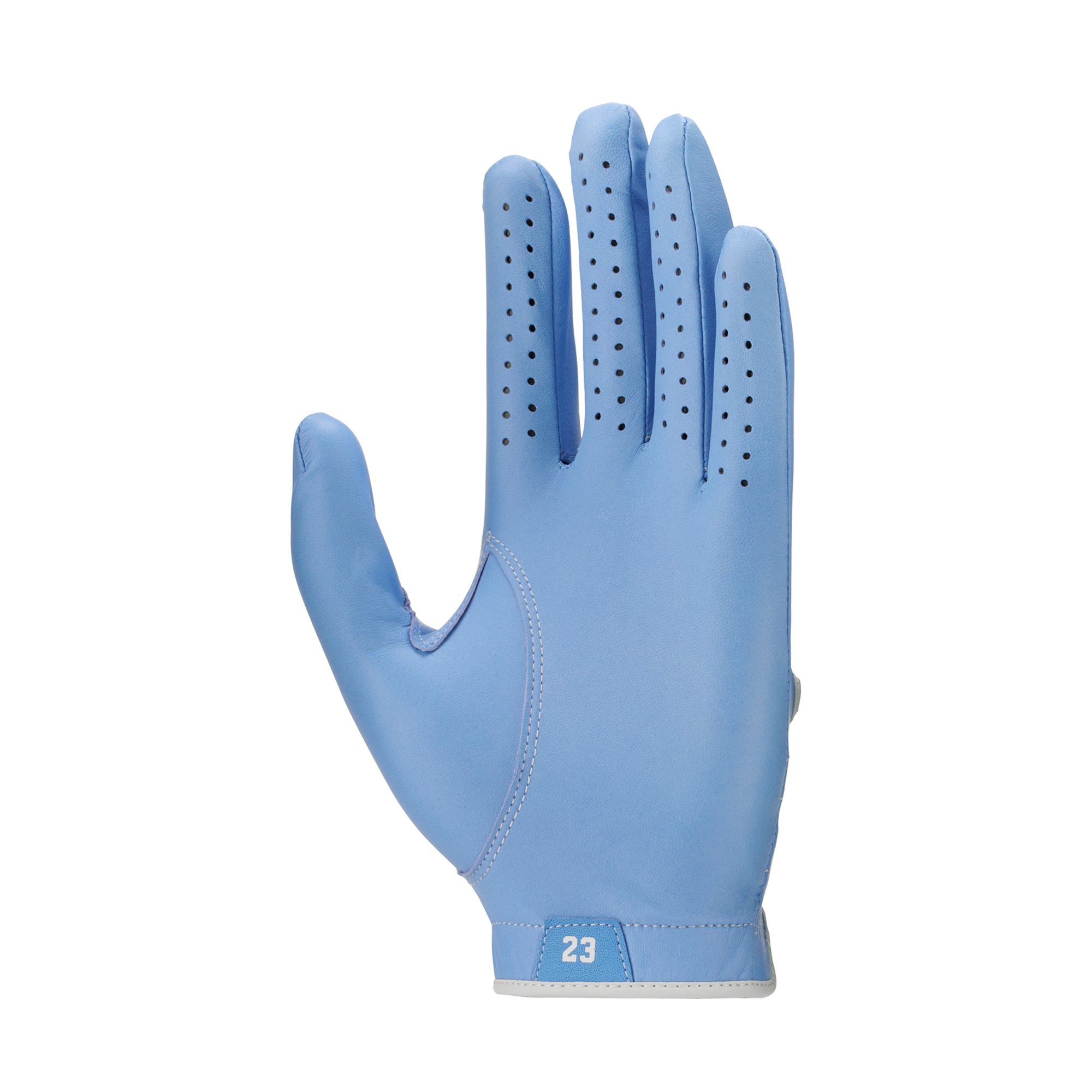 Nike Jordan Tour Golf Glove MLH - Valour Blue/White 477 - FN0534