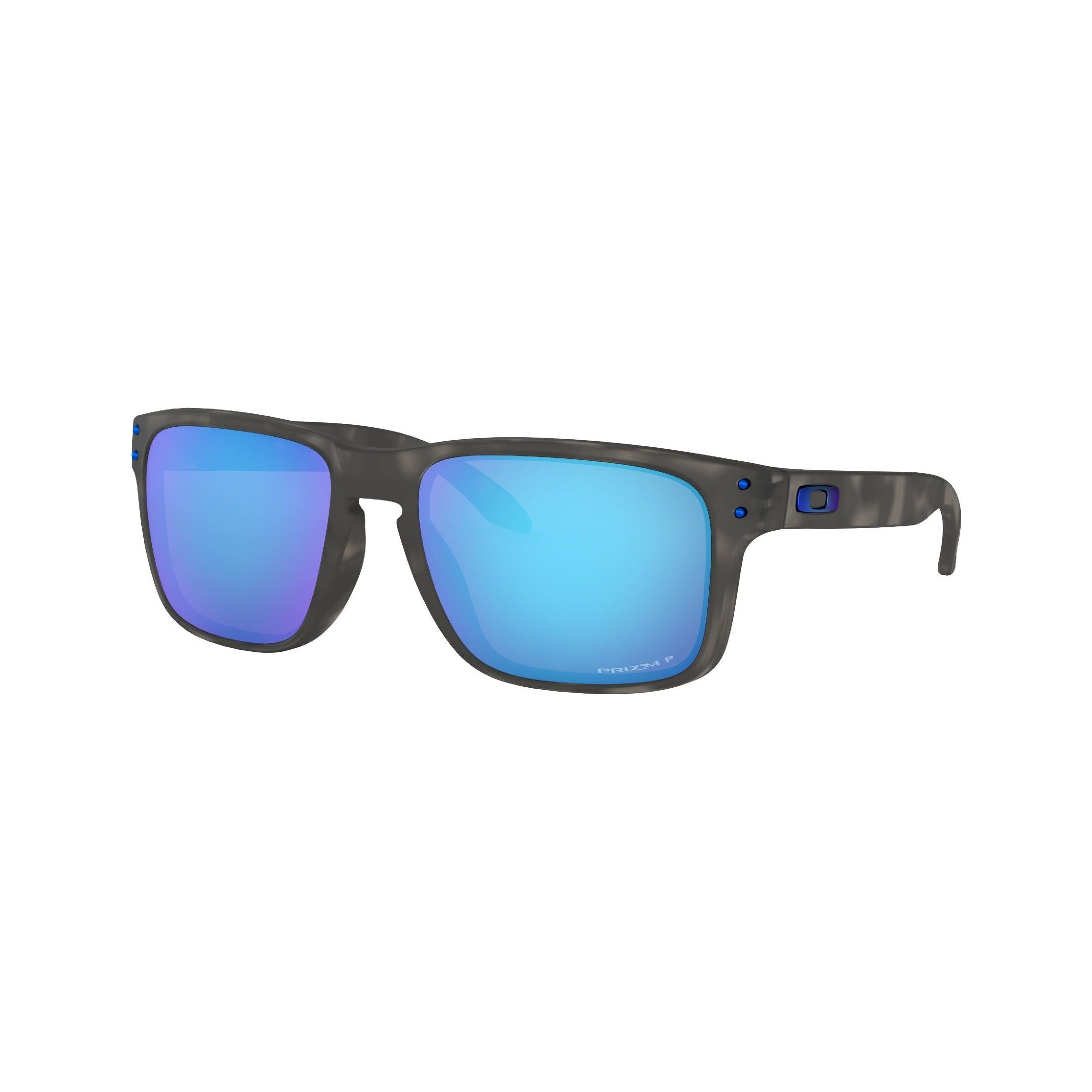 Holbrook polarized 2024