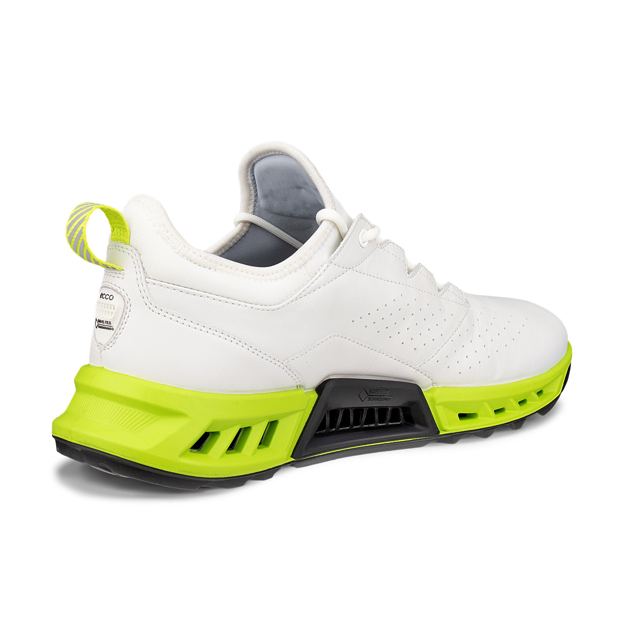Ecco Biom C4 Gore-Tex Golf Shoes