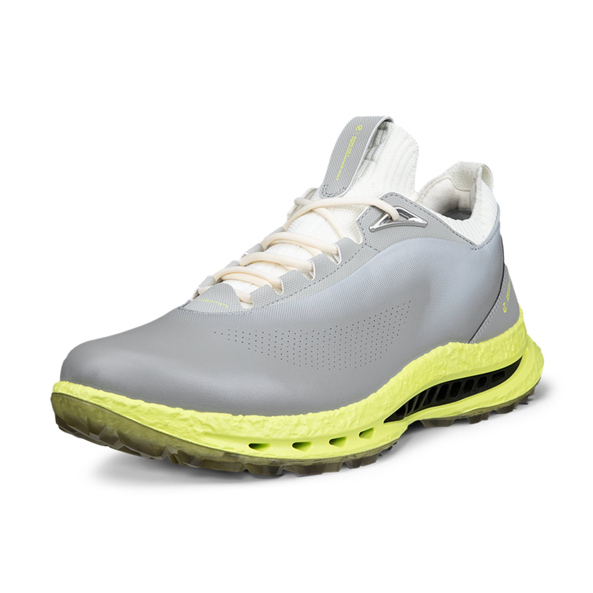 Ecco Biom C5 Golf Shoe - Wild Dove 55915 - 132604-55915