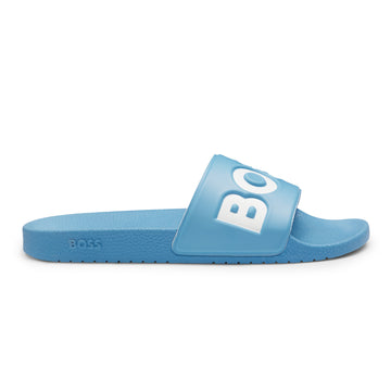 BOSS Aryeh_Slid Slides