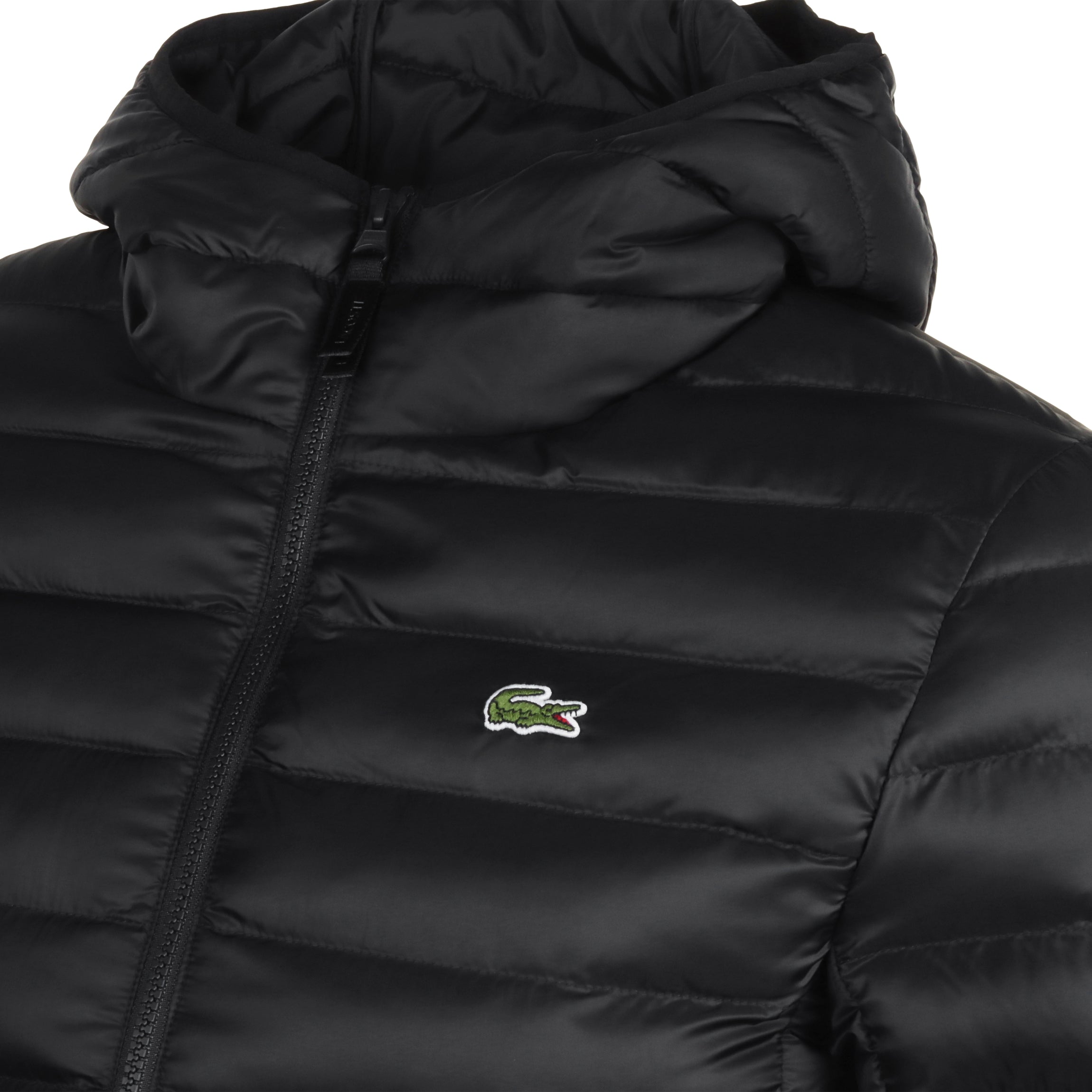 ダウンジャケット LACOSTE 24FW Black Logo Puffer Padding Jacket BH2909 031 Lacoste-Water-Repellent-Puffer