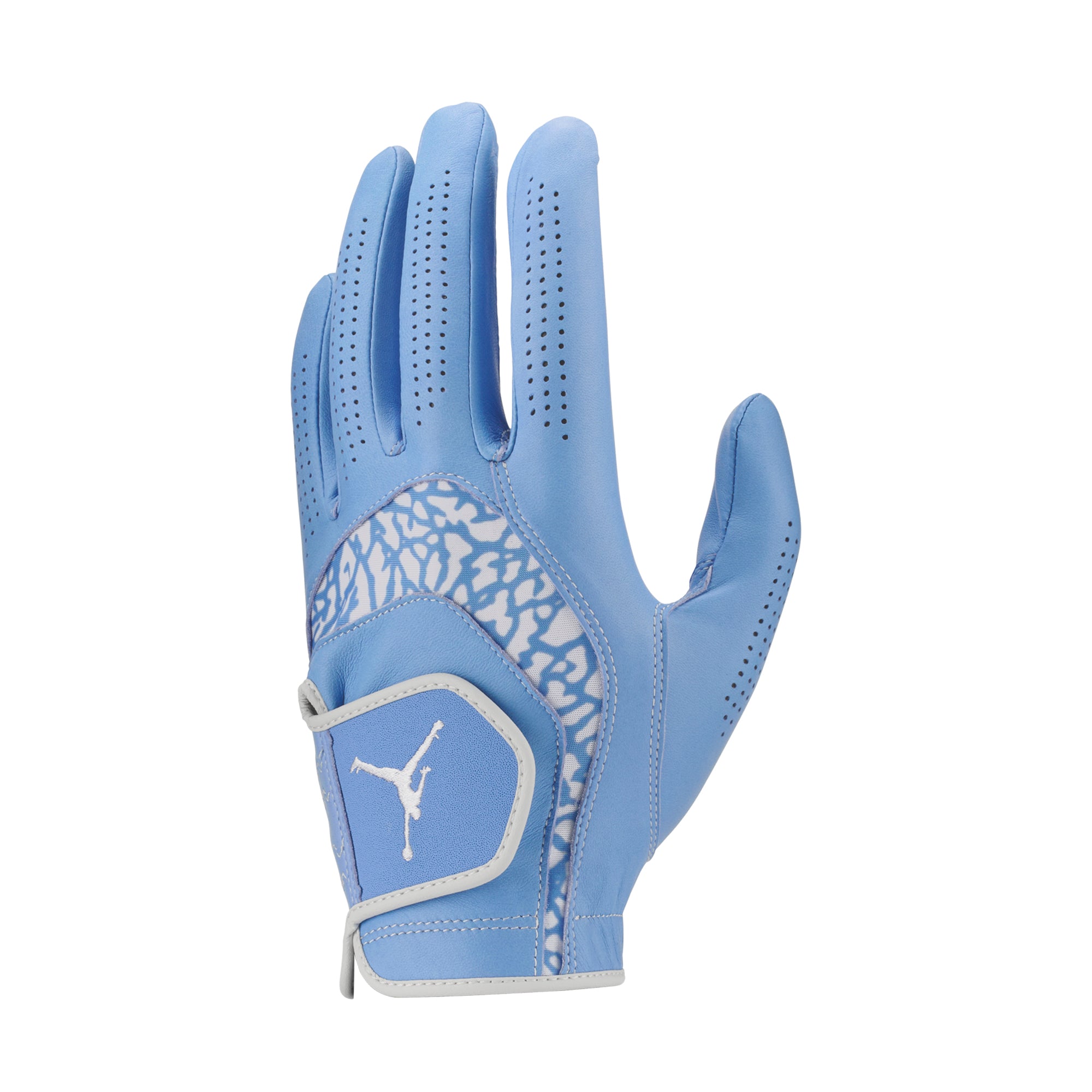 Nike Jordan Tour Golf Glove MLH - Forest Green/White 332 - FN0534