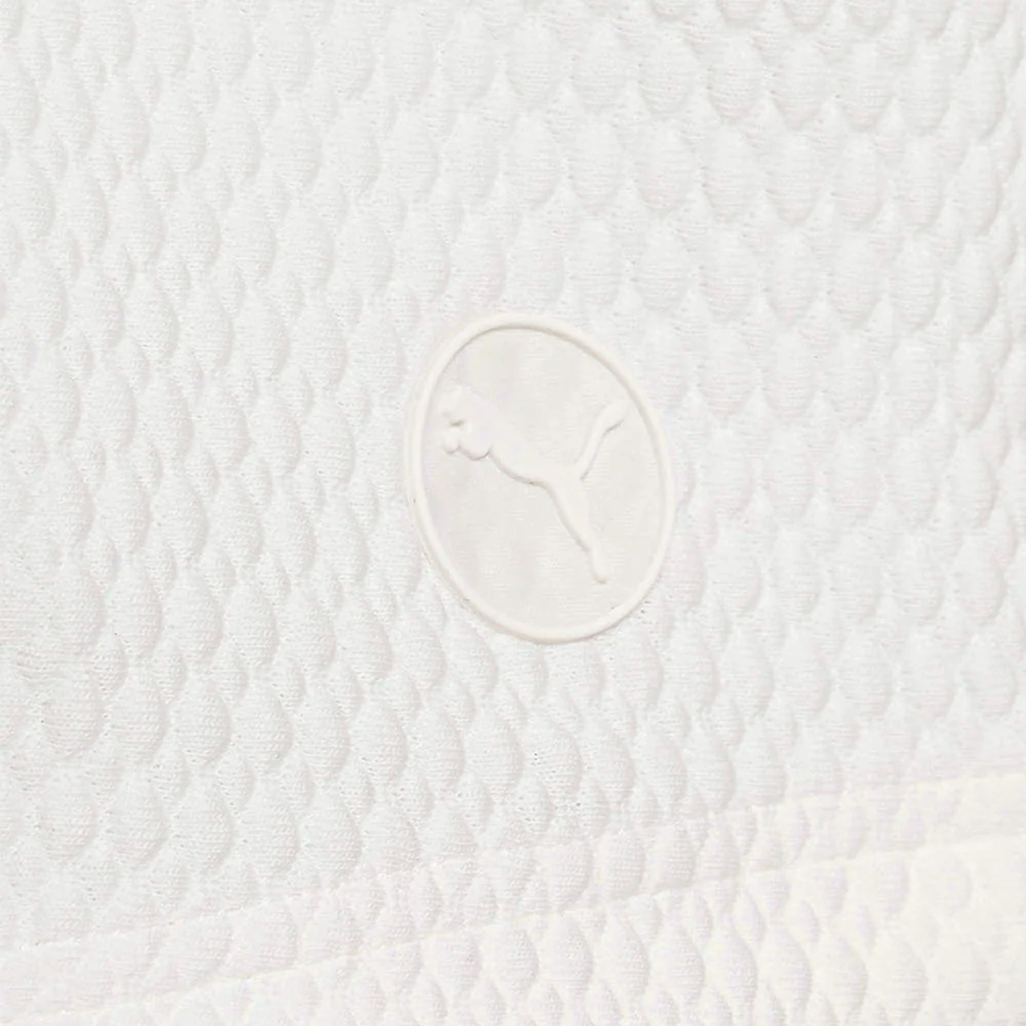 Puma golf runway hoodie online