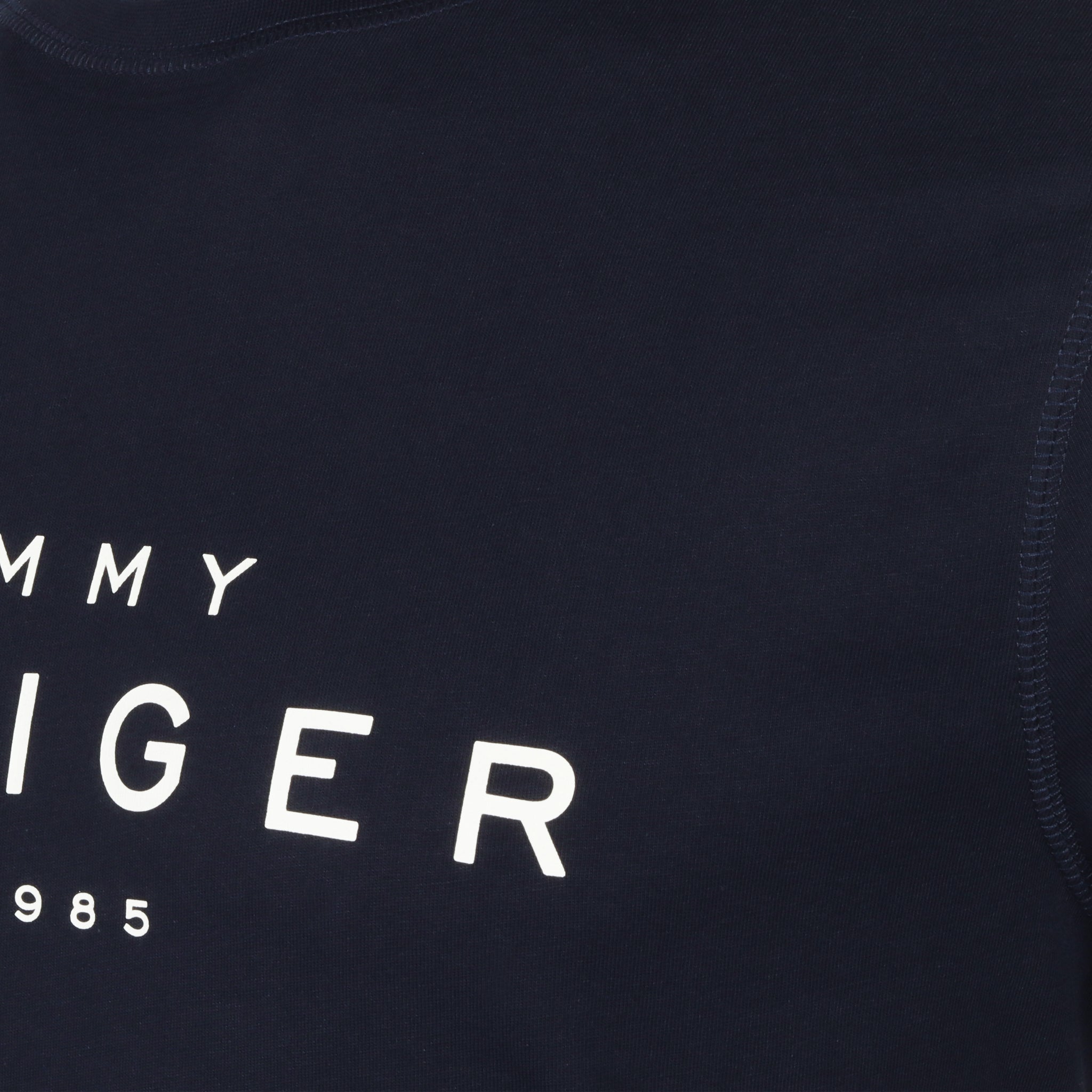 Tommy Hilfiger Big Logo Tee Desert Sky DW5