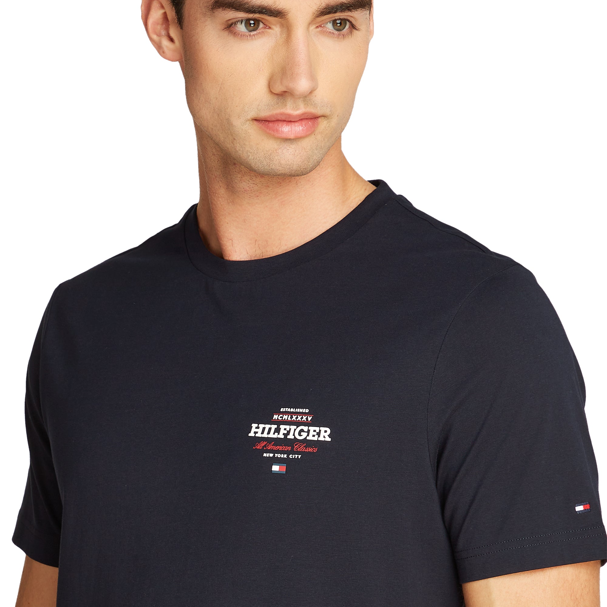 Tommy Hilfiger Monotype Tee Desert Sky DW5