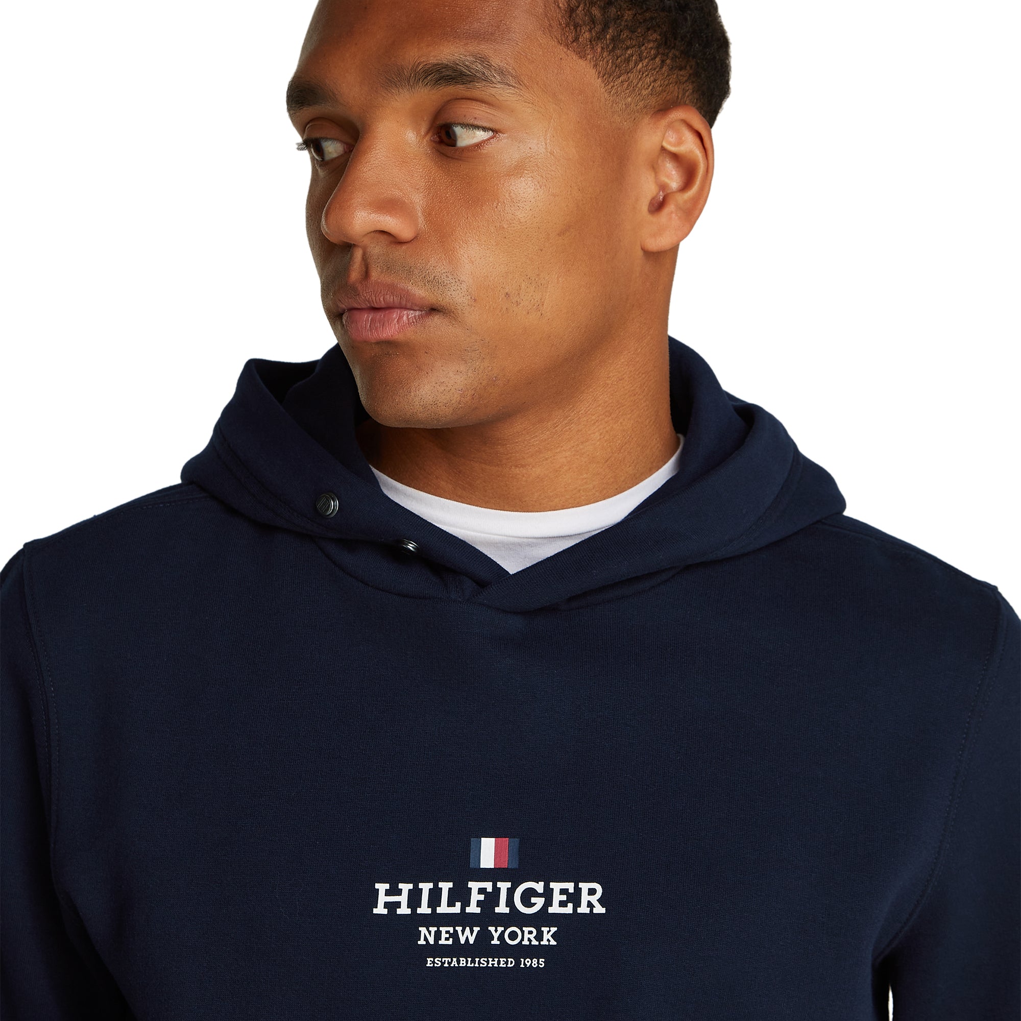 Tommy Hilfiger RWB Hoodie Desert Sky DW5