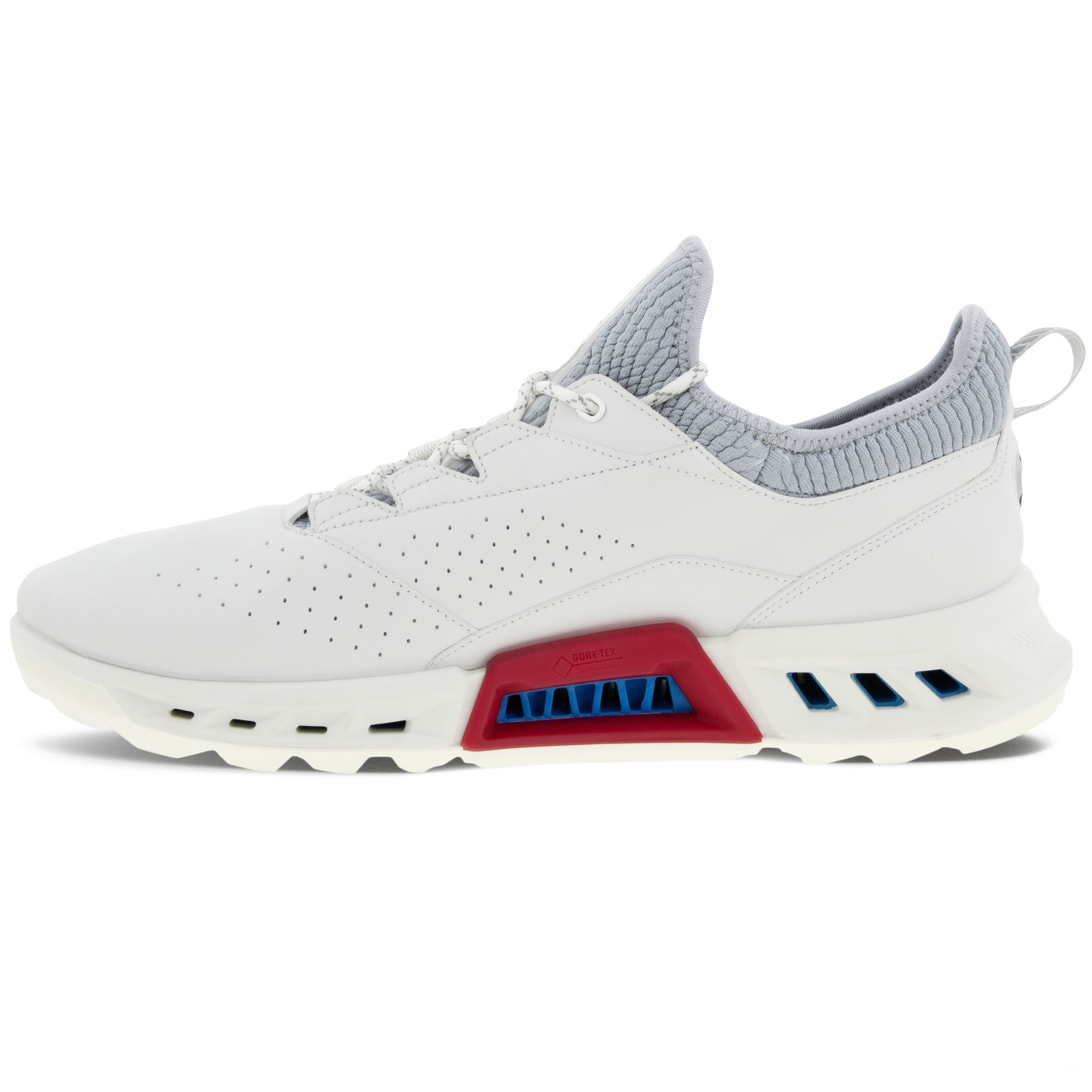 Ecco Biom C4 Gore-Tex Golf Shoes