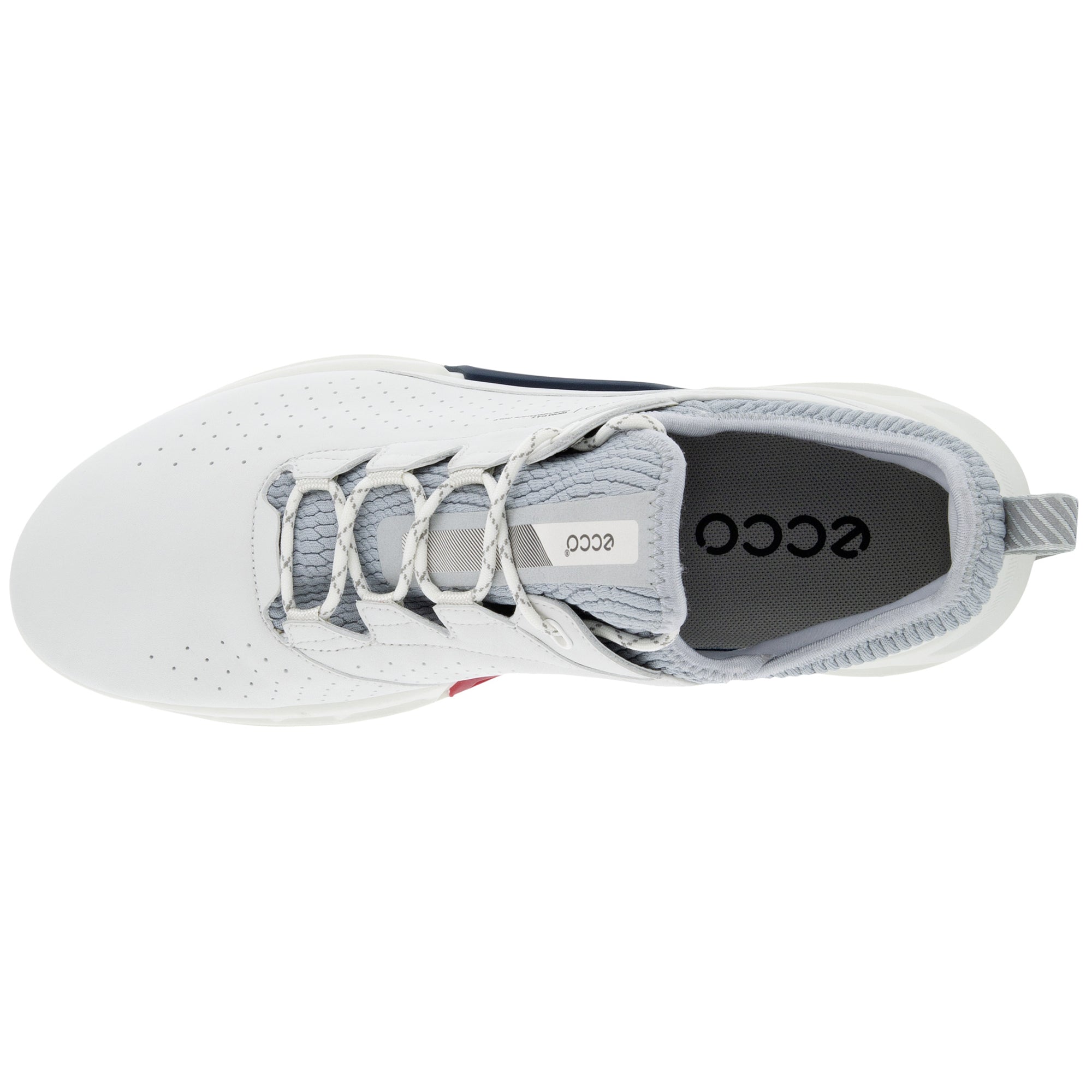 Ecco Biom C4 Gore-Tex Golf Shoes