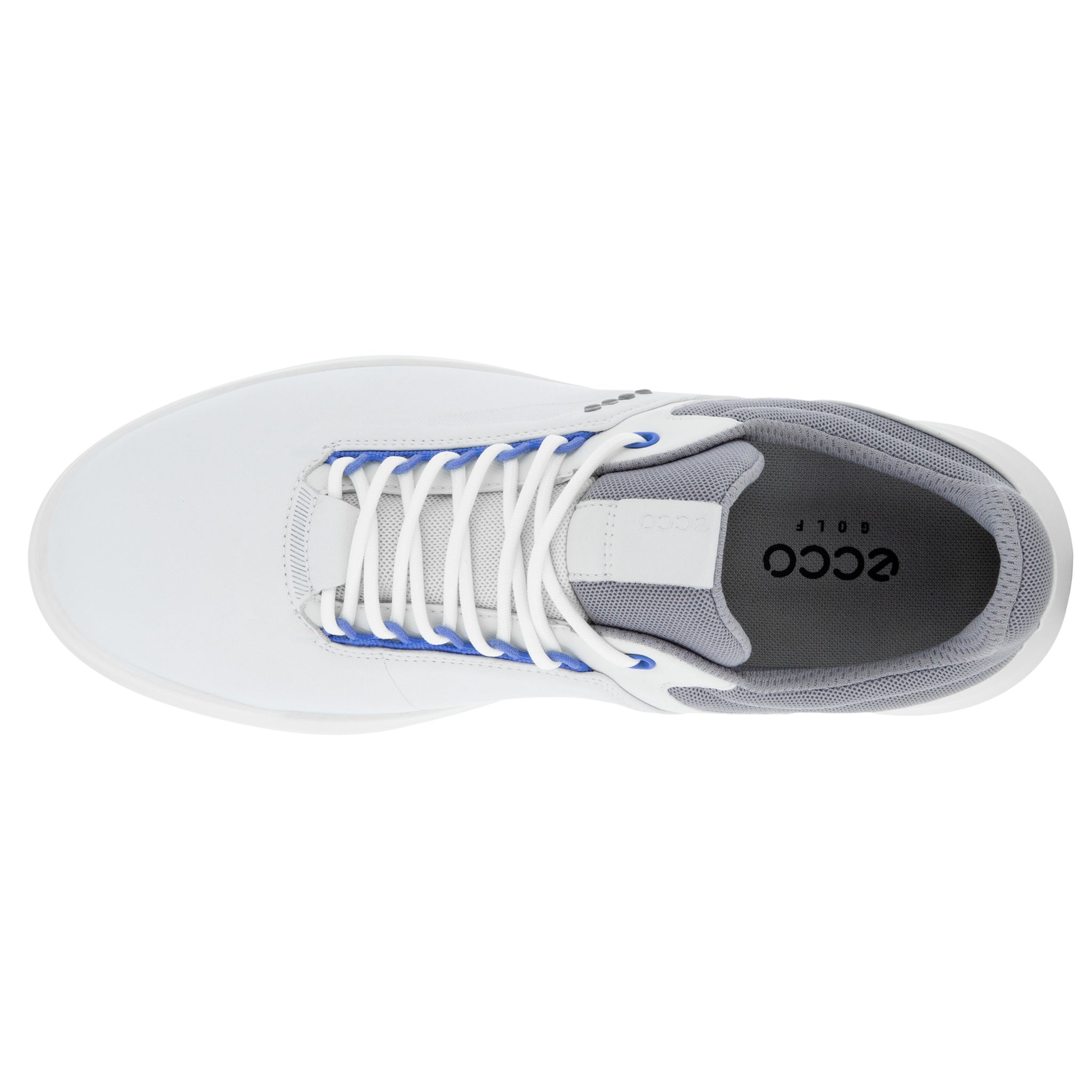 Ecco sales golf silver