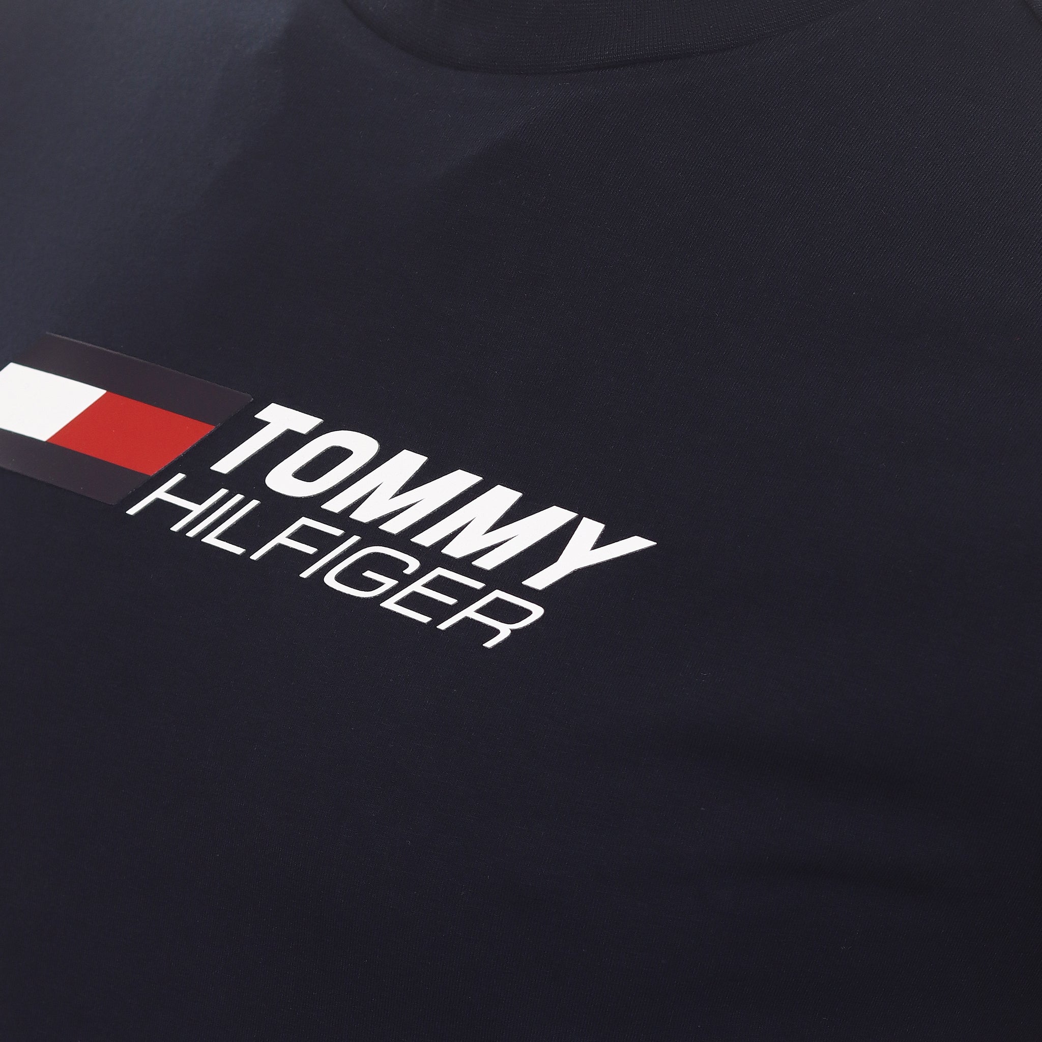 Tommy Sport Essential Big Logo Tee MW0MW27933 Desert Sky DW5 | Function18 |  Restrictedgs